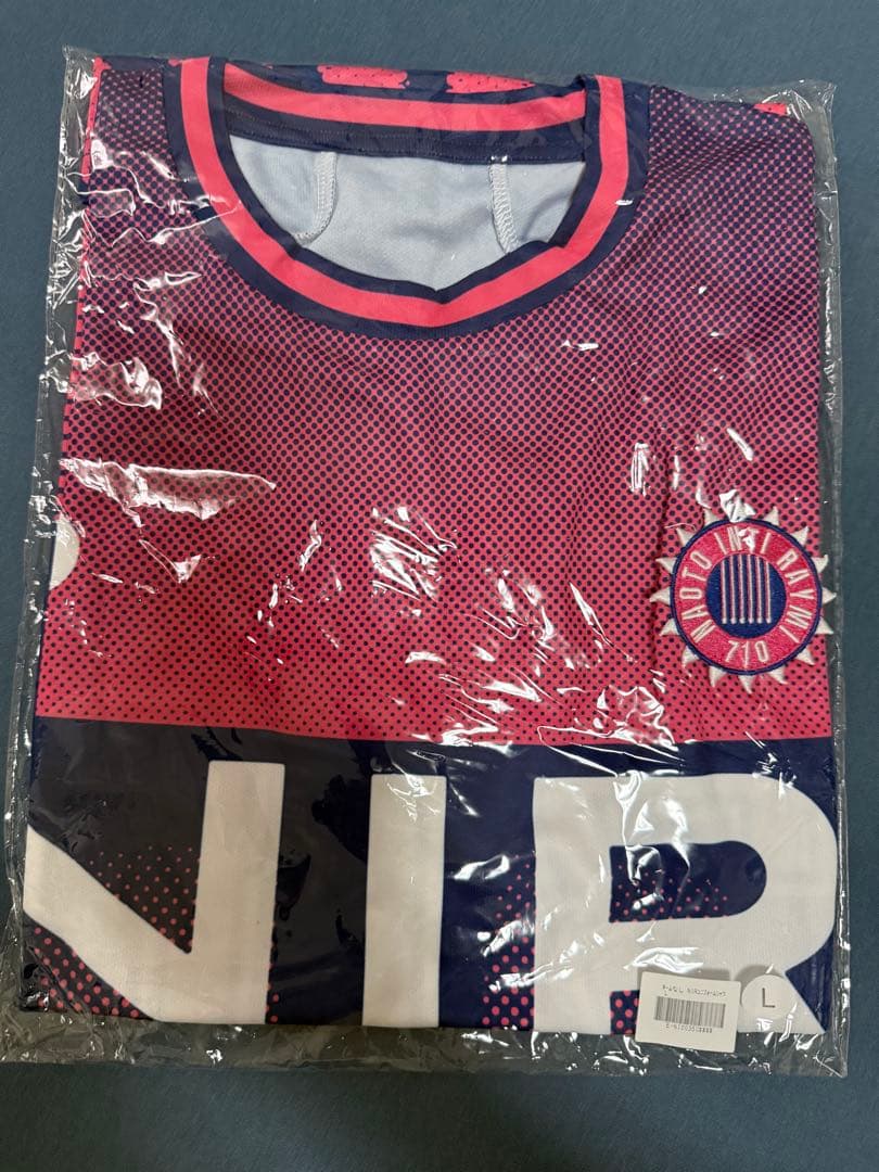 ナオト・インティライミ　ツアーTシャツ Lサイズ ホワイト・ブラック