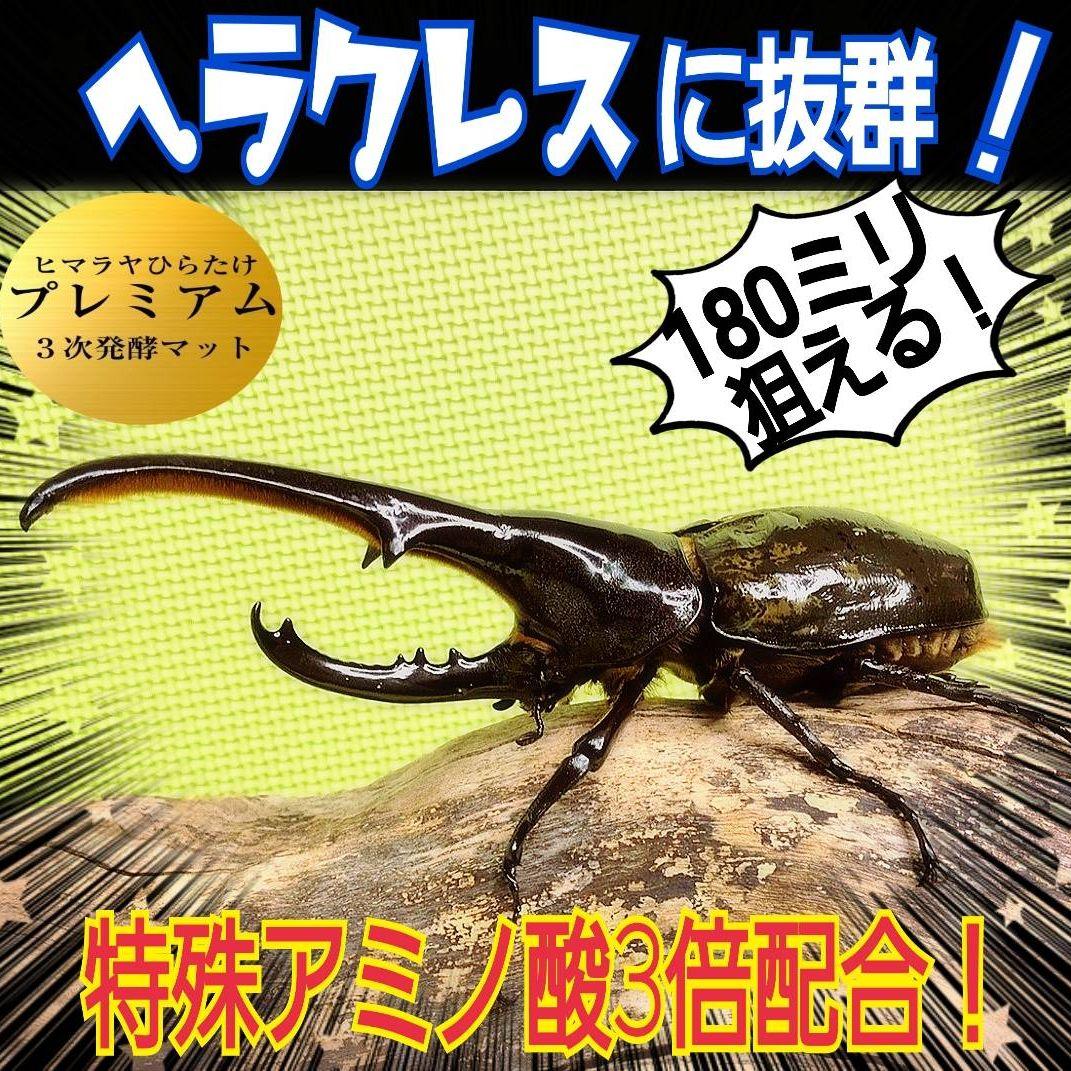 幼虫がビックになる！極上☆プレミアム発酵カブトムシマット【50L】産卵にも抜群！