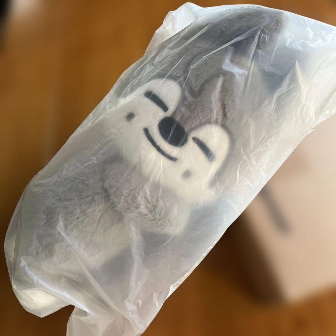 Stray Kids celebrATE プラッシュバッグ ウルフチャン　リスパ