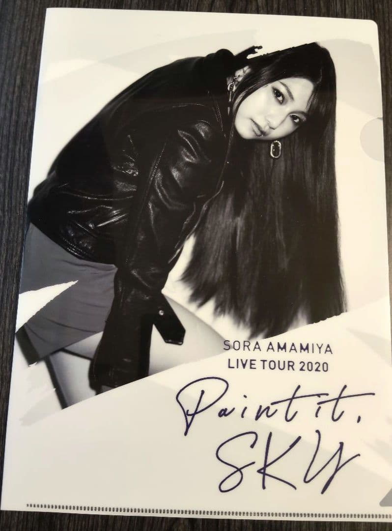 雨宮天 クリアファイル23枚セット