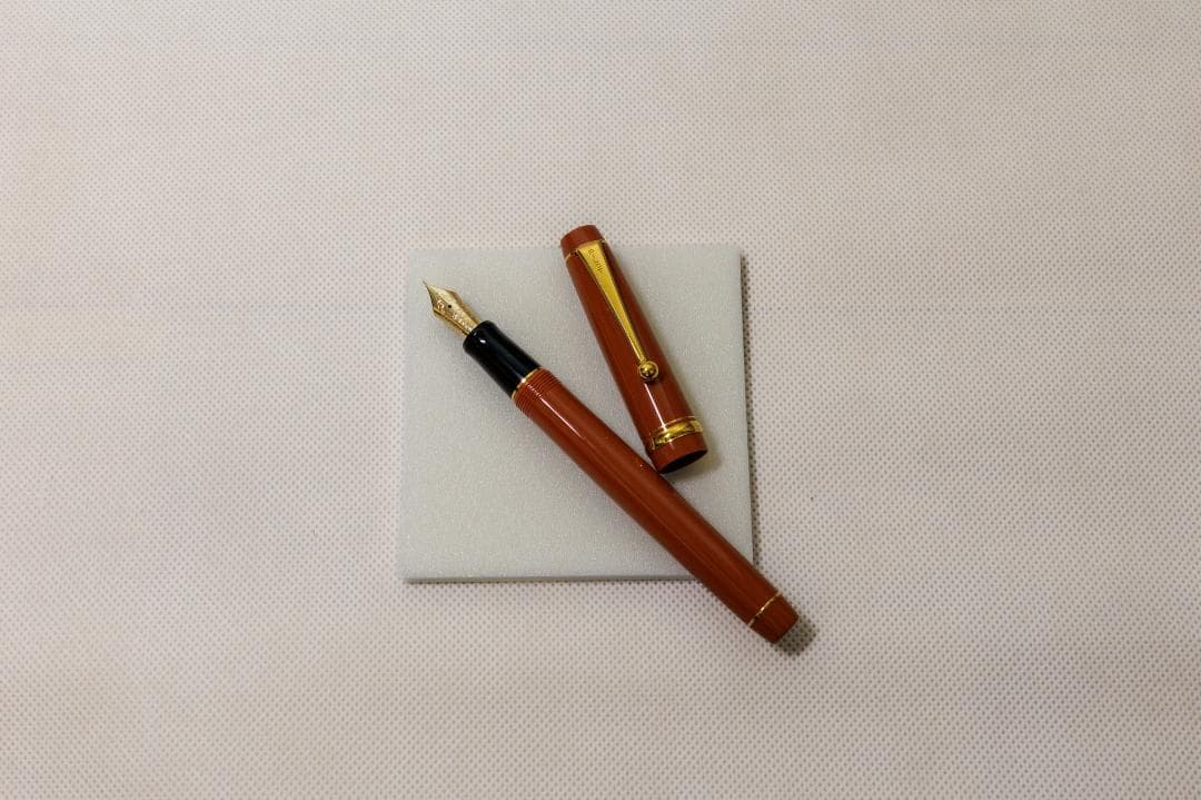 【希少】大丸藤井セントラル（パイロット）万年筆　北の彩景事典第１弾