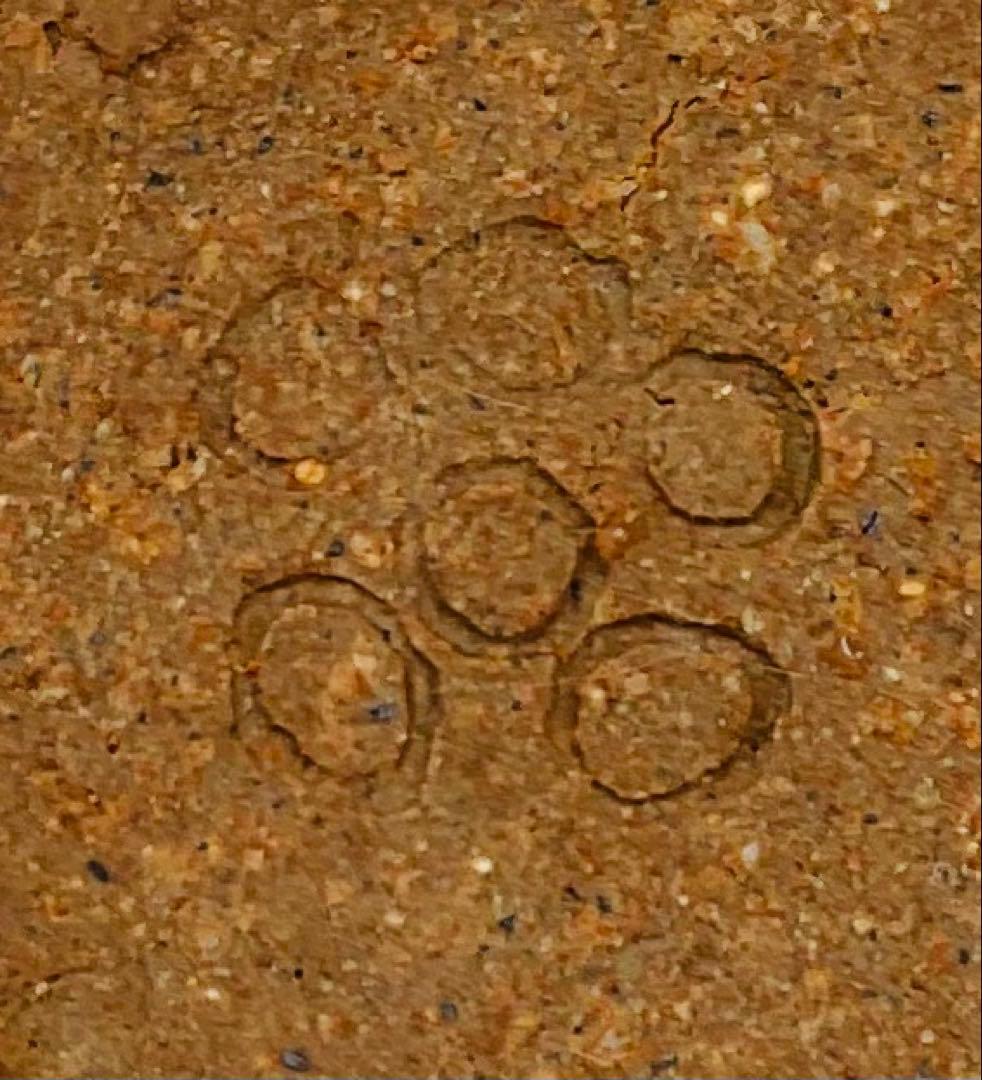 ★★岡山県重要無形文化財・森陶岳先生　備前焼ぐい呑　【S−77】★★