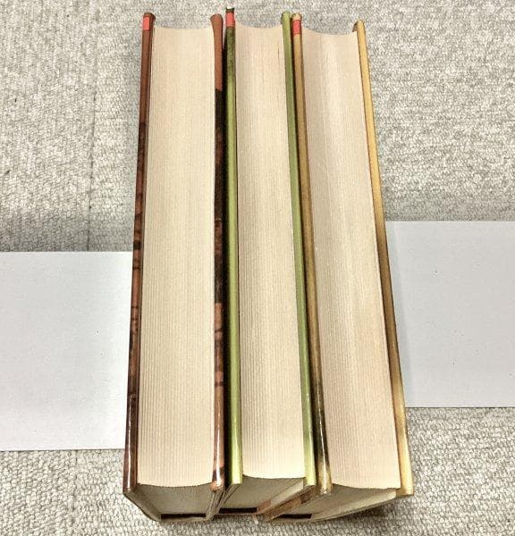 最終価格◆秘境西域八年の潜行 西川一三著 新装版（上巻・下巻・別巻）まとめて3冊