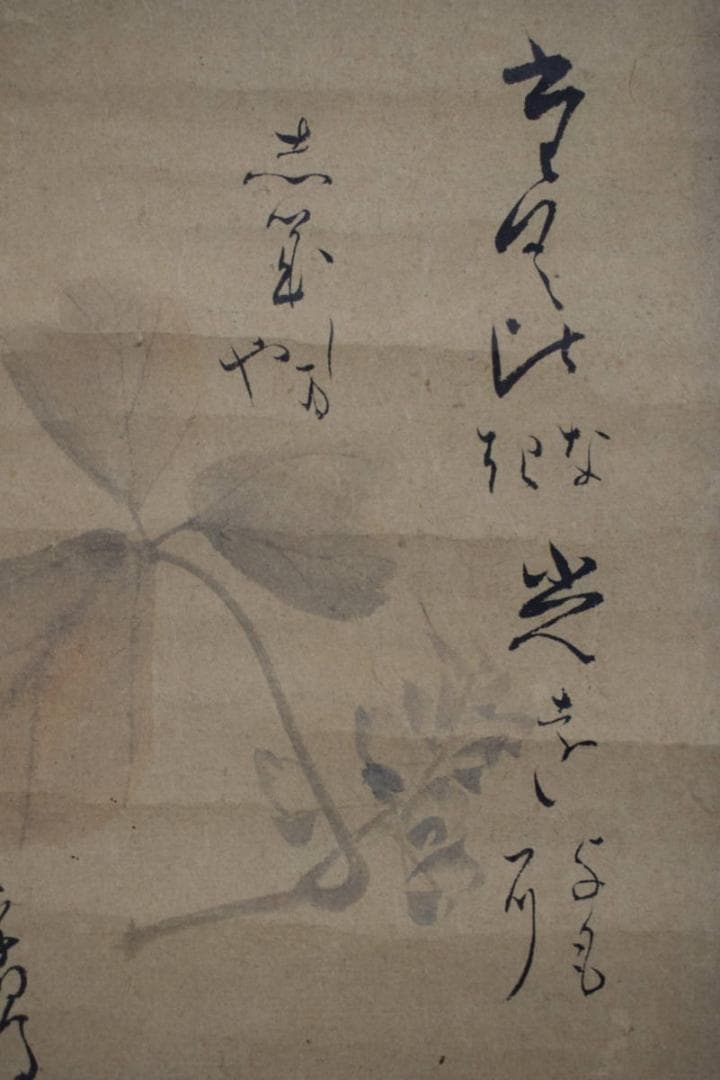 【真作】松村呉春（画）賀茂李鷹（賛）/土筆葛の花/掛軸☆宝船☆Y-773　JM