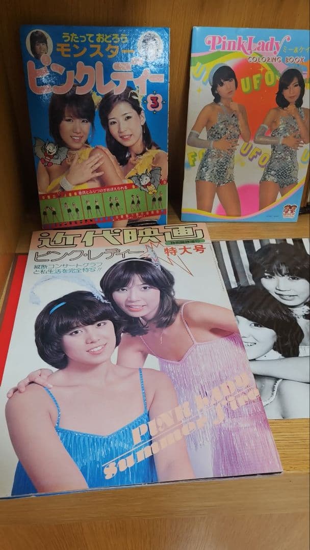 ペコさん専用E ピンクレディコレクション