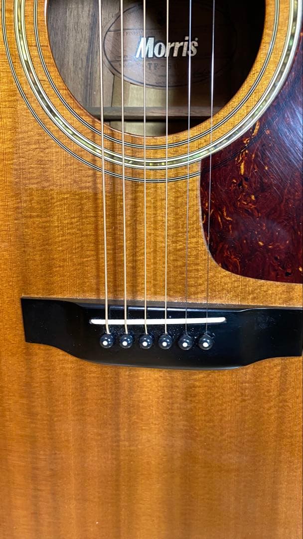 Morris アコースティックギター TF50スプルース単板ハカランダHC付