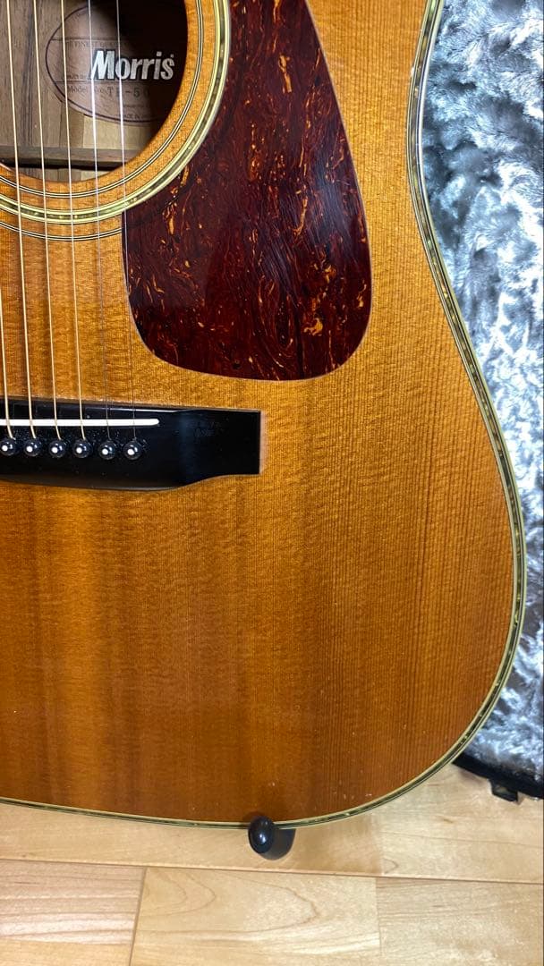 Morris アコースティックギター TF50スプルース単板ハカランダHC付