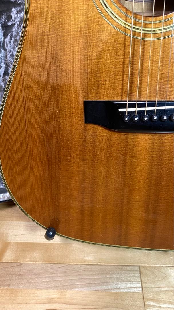 Morris アコースティックギター TF50スプルース単板ハカランダHC付