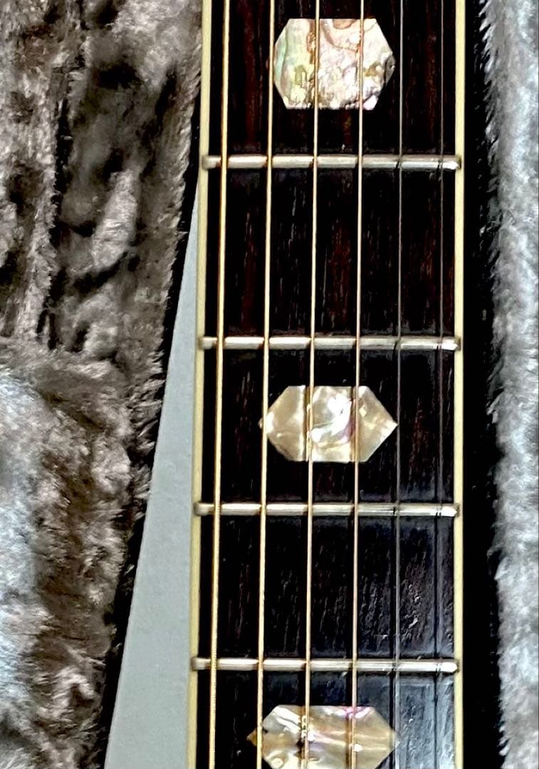 Morris アコースティックギター TF50スプルース単板ハカランダHC付