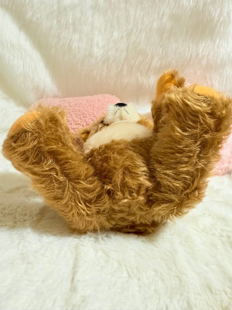 ☆シュタイフ　リラックマ ☆テディベア　白タグ☆限定☆