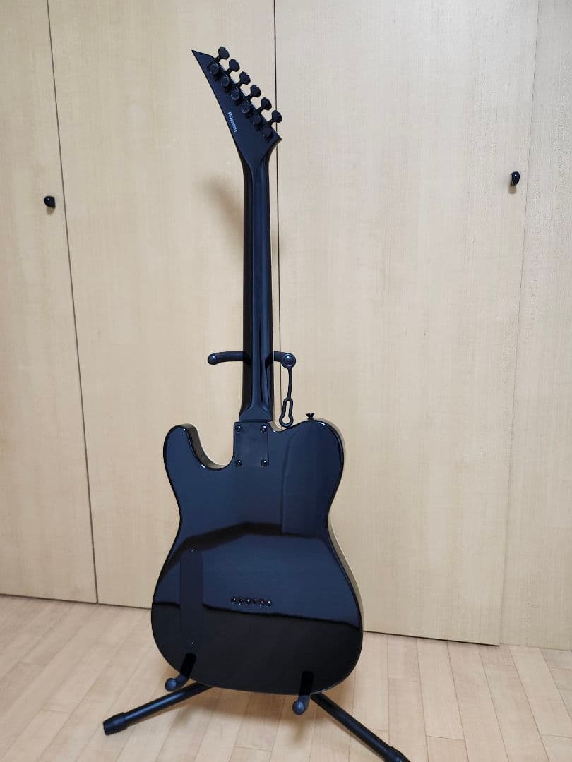 フェルナンデス　FERNANDES　TEJ