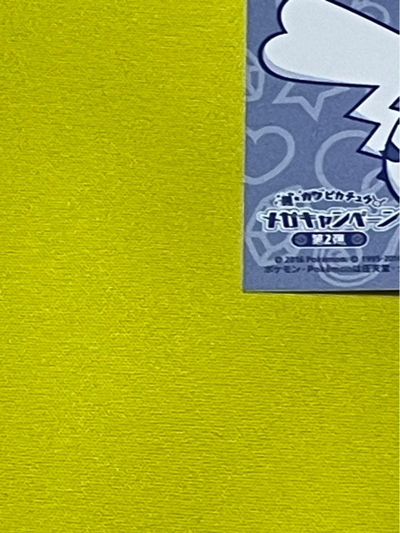 ポケモン　ポンチョ　 ピカチュウ　メガチルタリス　名刺