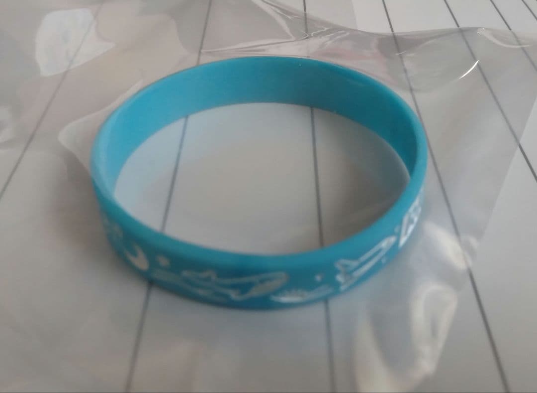 バンド　　　　　　　　　　　　　　　　　　　　　　　　RIRIKO（NELKE）