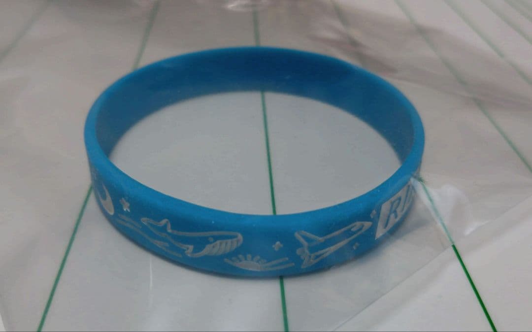 バンド　　　　　　　　　　　　　　　　　　　　　　　　RIRIKO（NELKE）