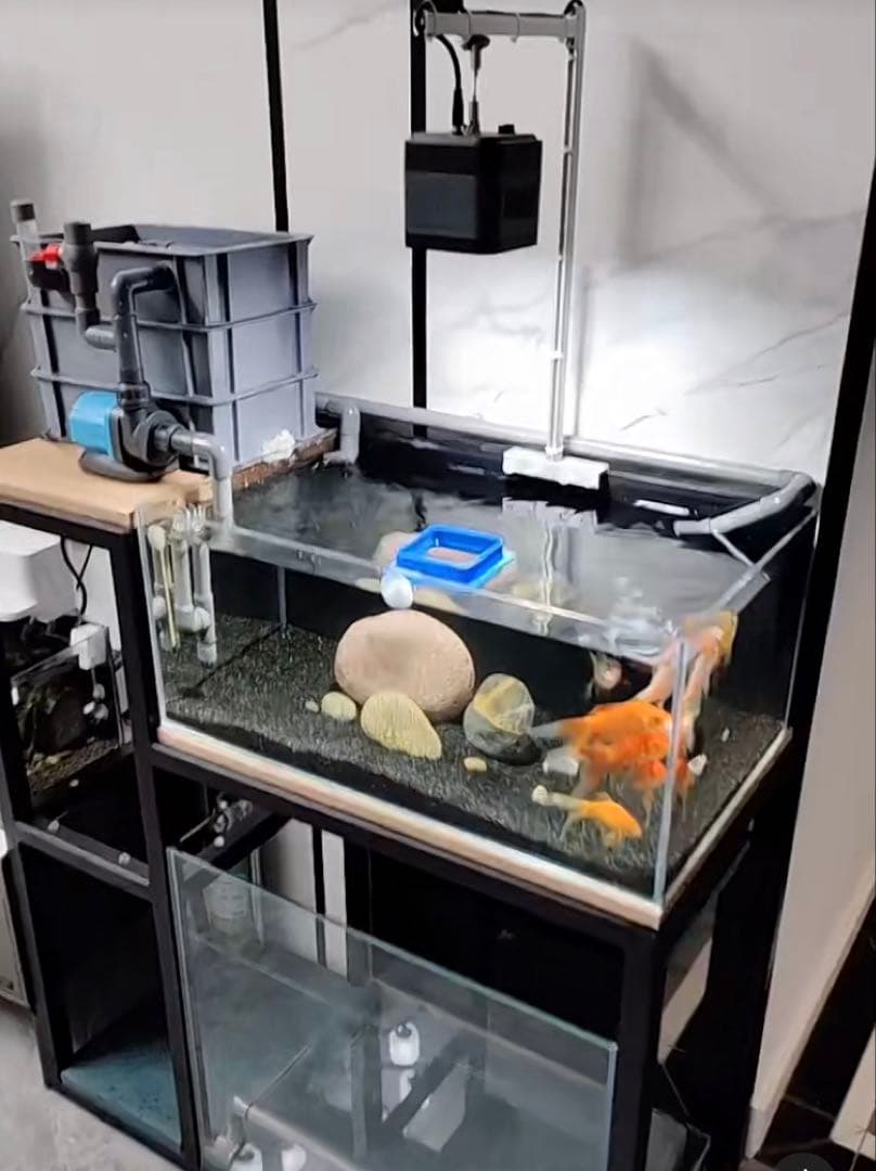 ポンプ1段階ろ材満タン付き三段式万能濾過装置池大型水槽濾過層 フィルター送料込み