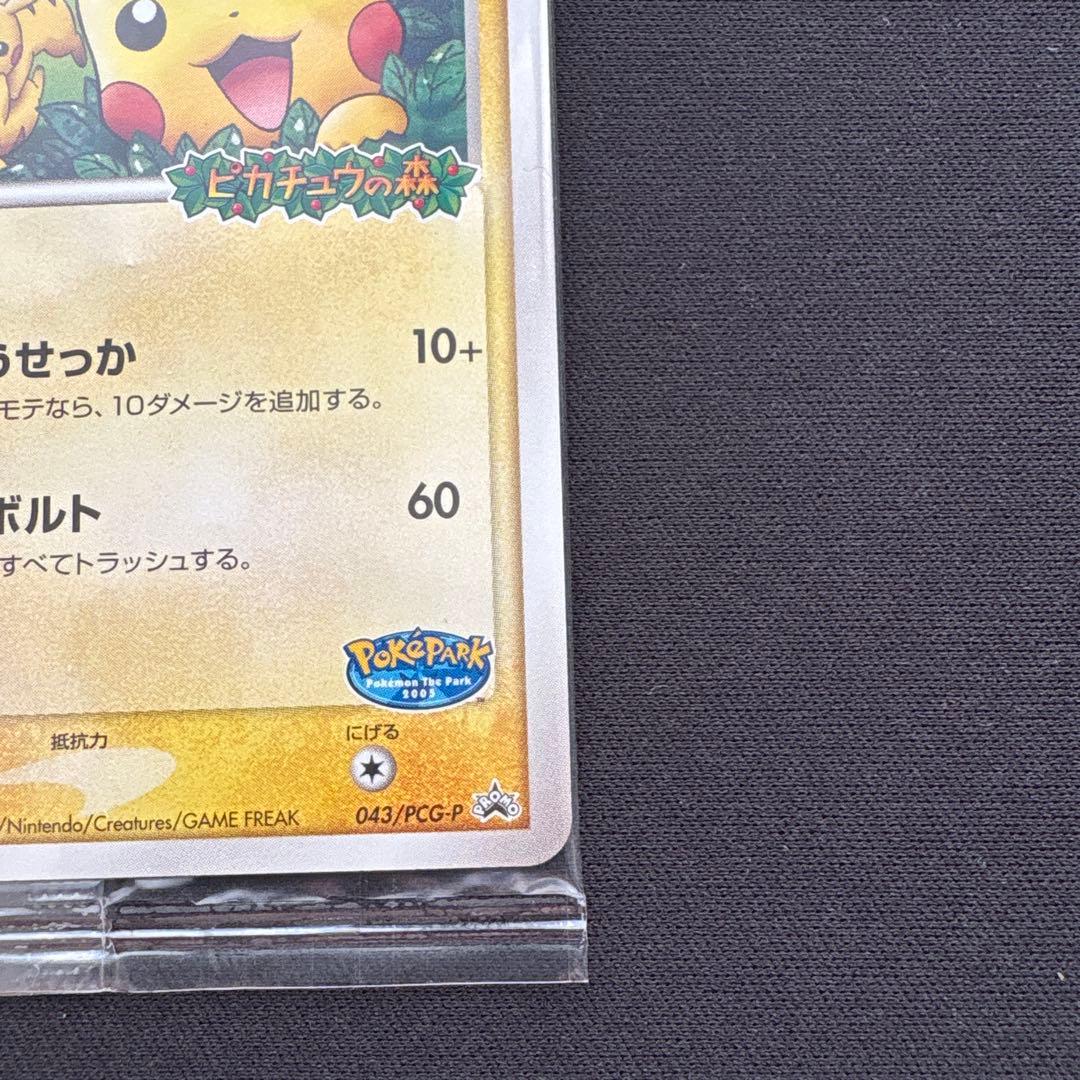 ポケパークのピカチュウ PROMO PCG-Pプロモカード 043/PCG-P