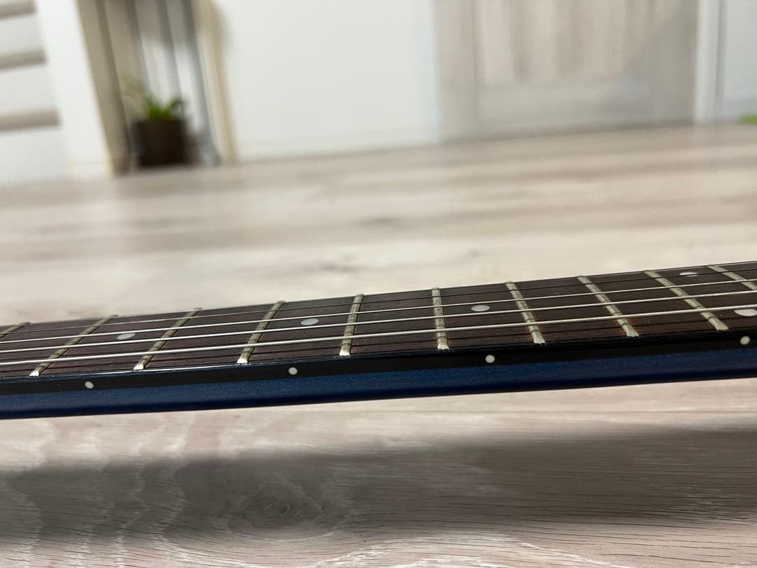 H.S.Anderson Houston（アップルギター）専用ソフトケース