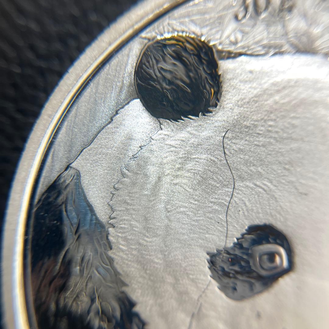 【純銀】2018年パンダ銀貨　10元　カプセル付き①