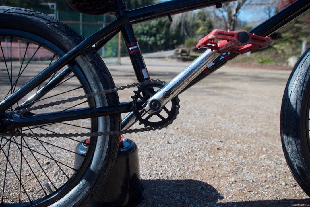 自転車本体 WETHEPEPLE Reason BMX