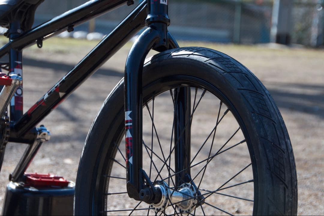 自転車本体 WETHEPEPLE Reason BMX