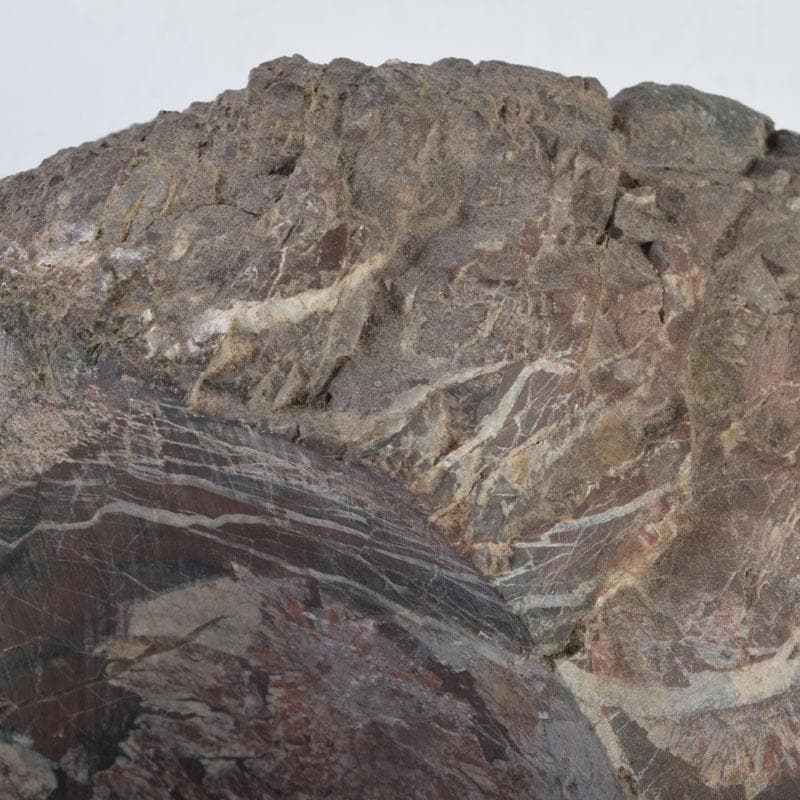 天然石　鑑賞石　菊花石　置物　重さ約1242g　C　8887