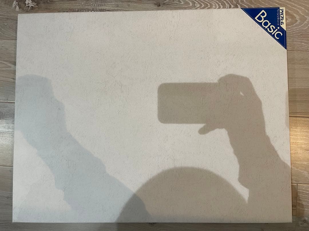 【箱有・超希少！】ONE PIECE麦わらストア 東京ワンピースタワー店5周年