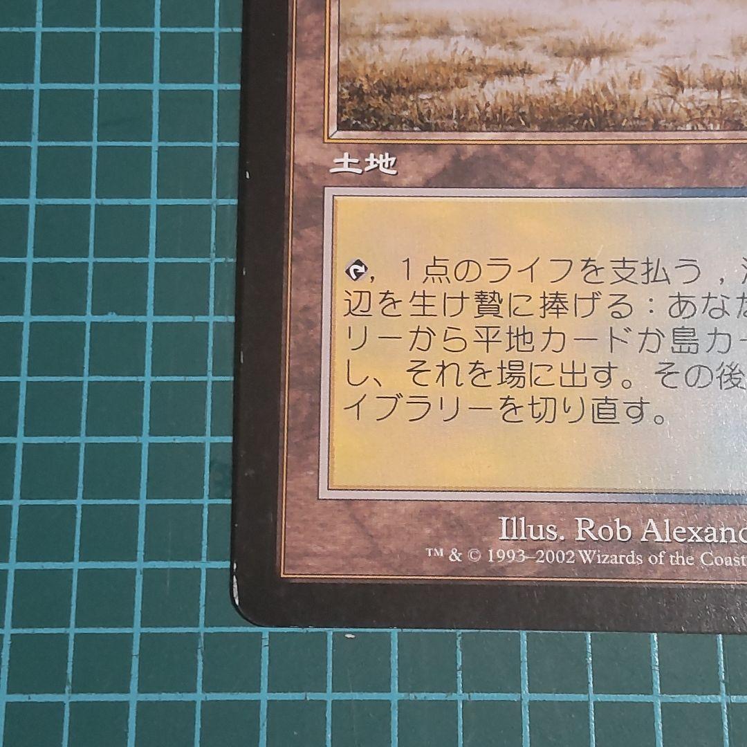 【匿名配送】マジック・ザ・ギャザリング　溢れかえる岸辺　希少