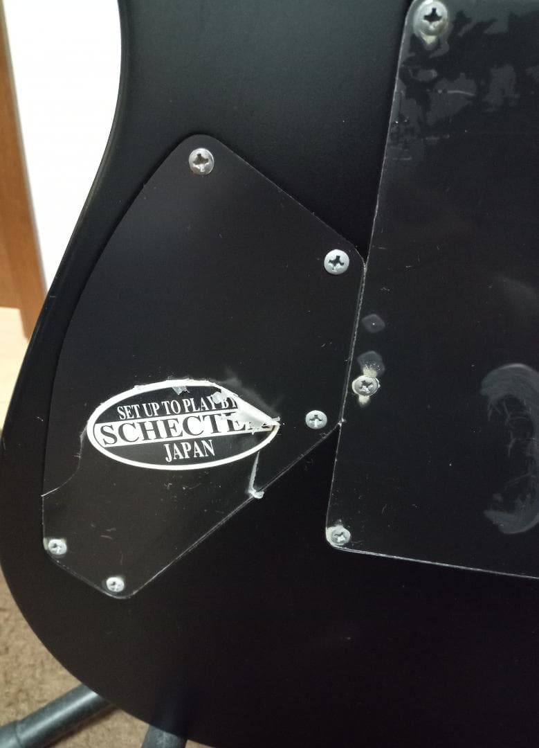 SCHECTER AD DM-FR/SBK AD DM-FR 6弦エレキギター