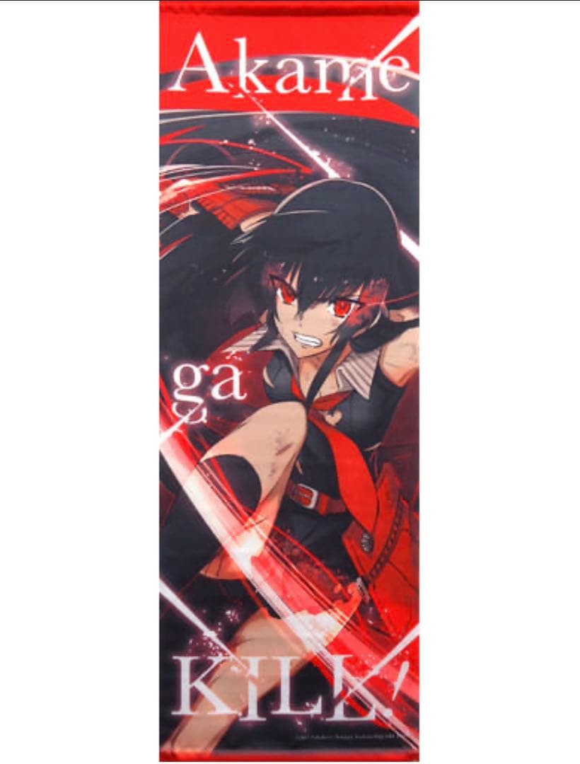 アカメが斬る アカメ タペストリー 特典