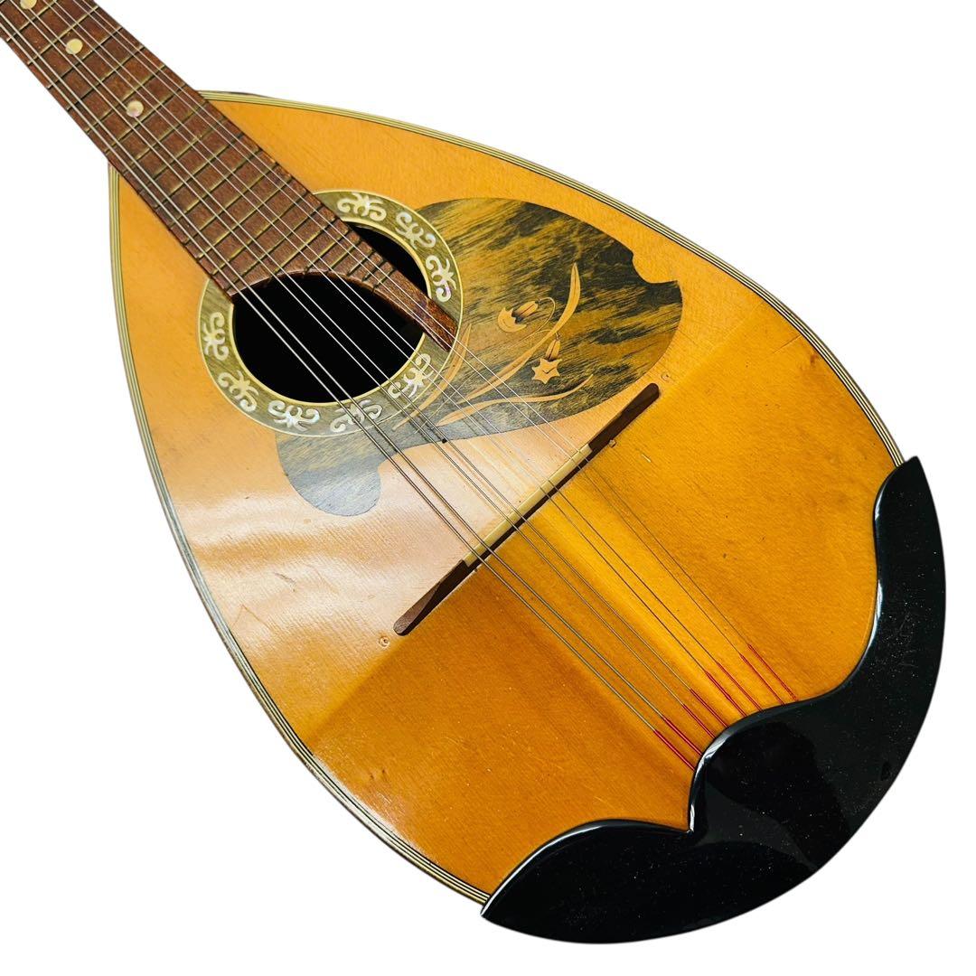 Suzuki Violin スズキバイオリン　マンドリン