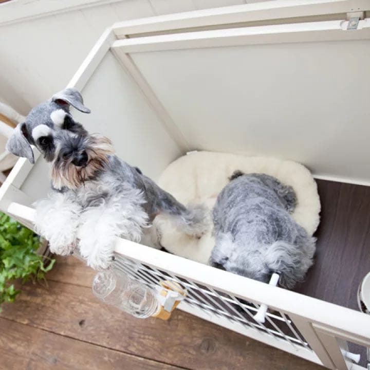 犬 ケージ