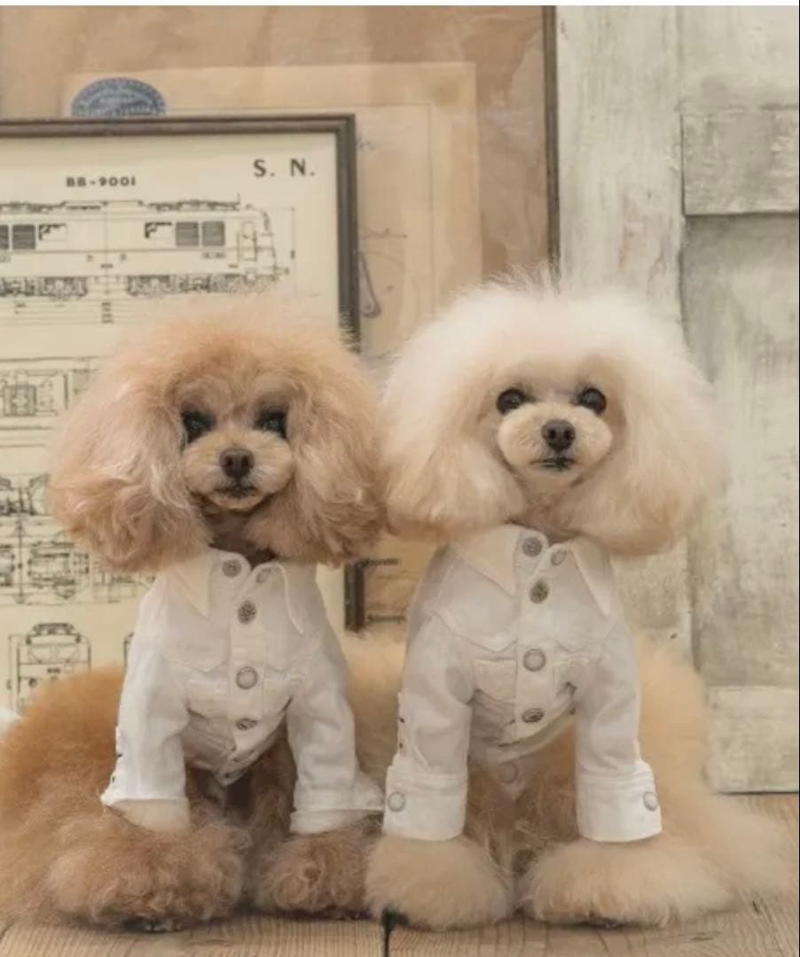 pp closet ホワイトデニムシャツ サイズ34