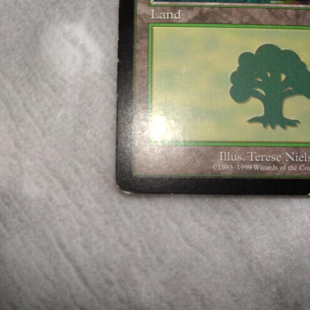 mtg guruランド　グルランド　森　PLD