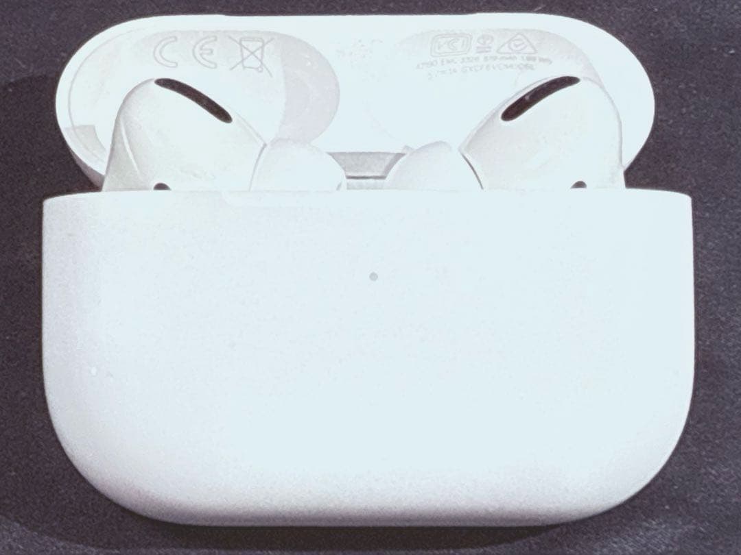 Apple純正 AirPods Pro 本体(第一世代)