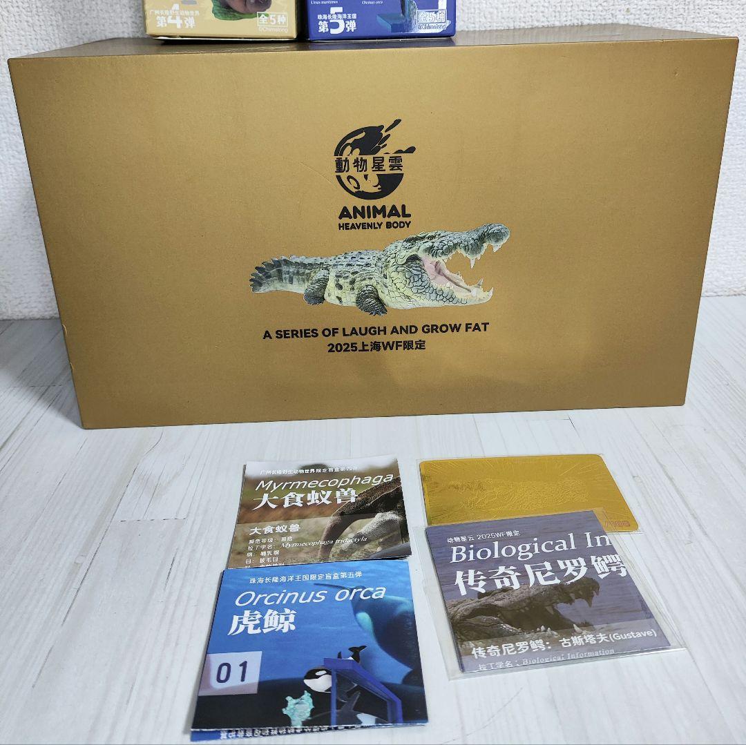 【動物の惑星】★ナイルワニ上海WF188体限定+オオアリクイ&シャチ★フィギュア