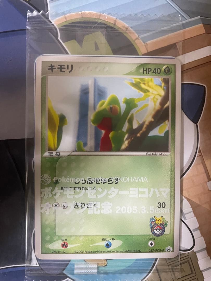 キモリ PROMO PCG-Pプロモカード 037/PCG-P 未開封