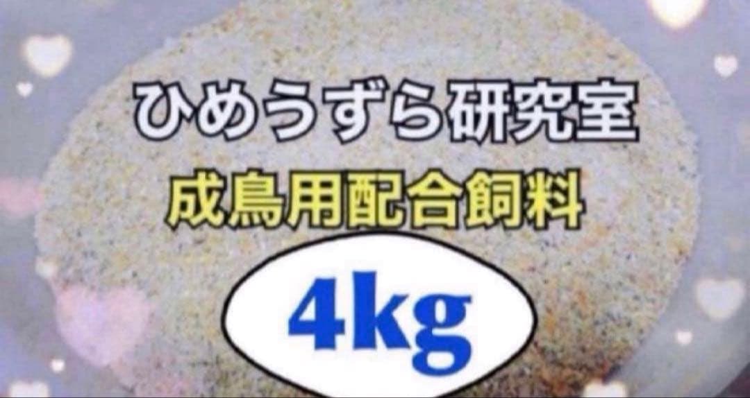 【2026年発送】ひめうずら研究室 成鳥用配合飼料 4kg 鳥 餌 ヒメウズラ