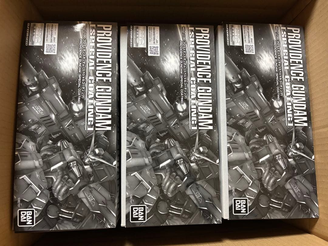 ＭＧ 1/100 プロヴィデンスガンダム [スペシャルコーティング] 3個