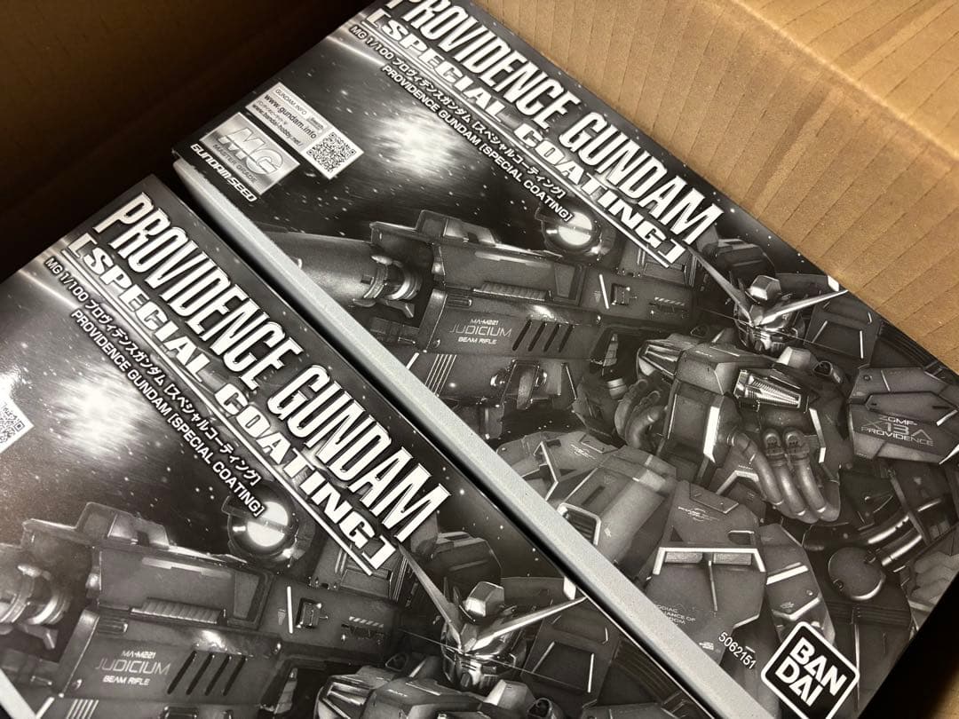 ＭＧ 1/100 プロヴィデンスガンダム [スペシャルコーティング] 3個