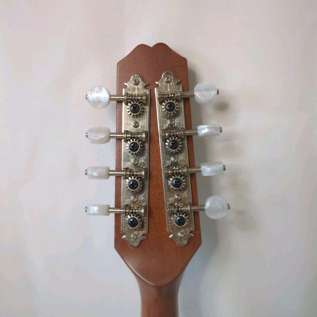 藤丸常夫 Tsuneo Fujimaru No.50 マンドリン