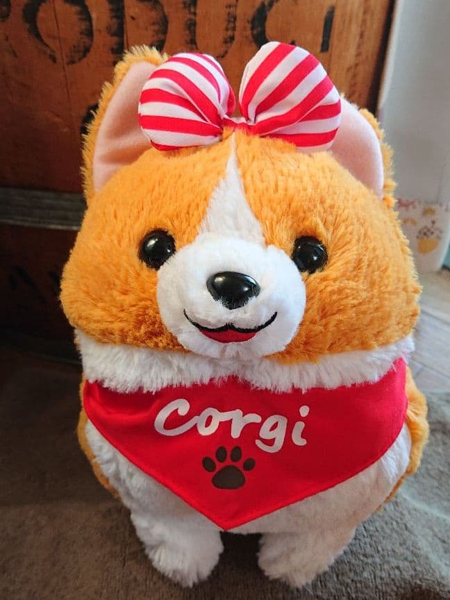 いち！にの！コーギー  【レア  サンプル品】JBサイズ