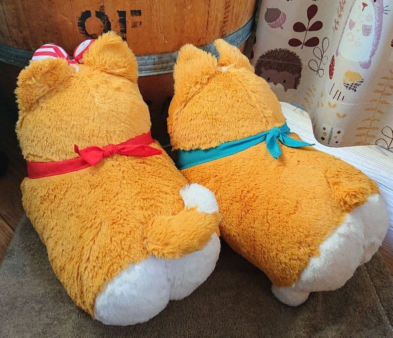 いち！にの！コーギー  【レア  サンプル品】JBサイズ