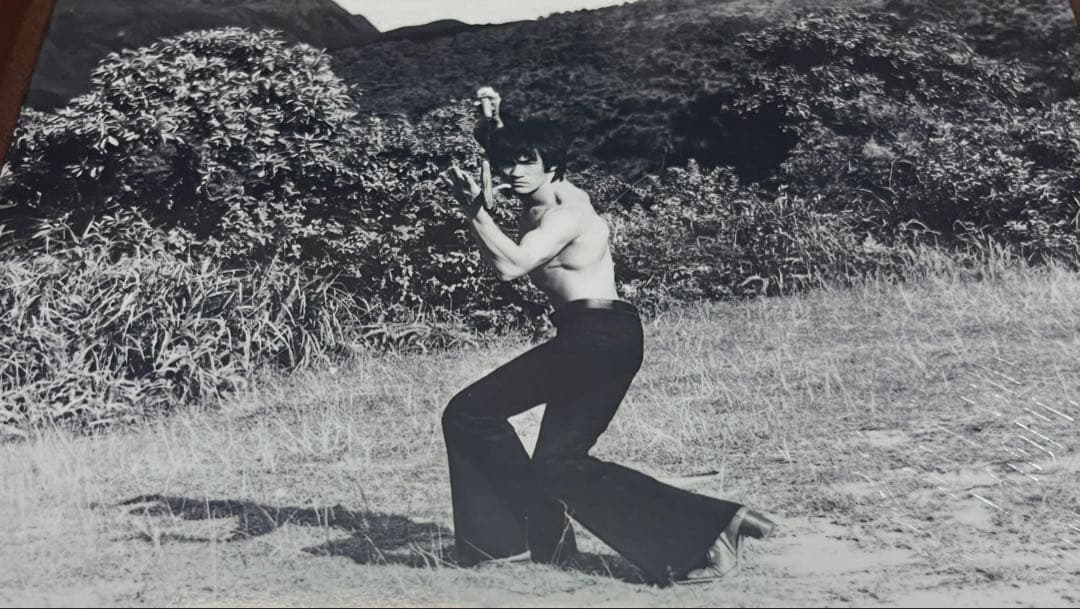 Bruce Lee李小龍 メモリアル写真集 vol.2 フレーム付限定2000部