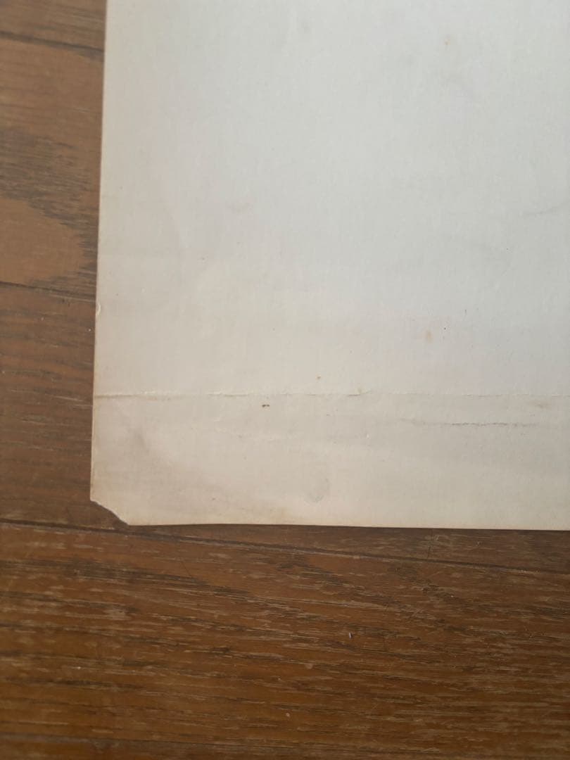 映画ポスター A Degree of Murder アニタ・パレンバーグ