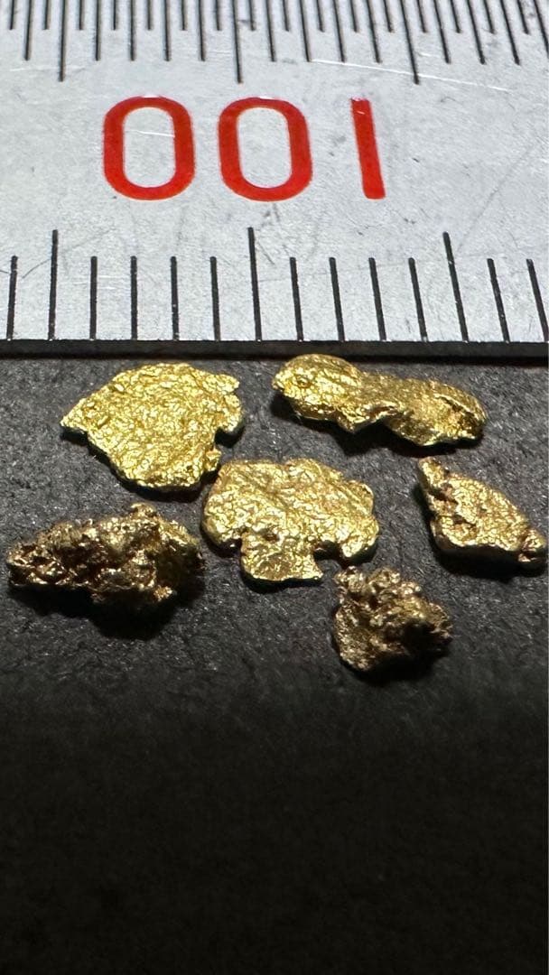 自然採取 金粒（粒状・不定形）観賞・資料用