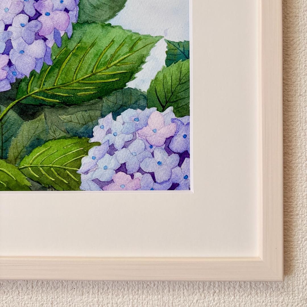 透明水彩画　原画　「薄紫のアジサイ」額縁付　４Fサイズ　風景画