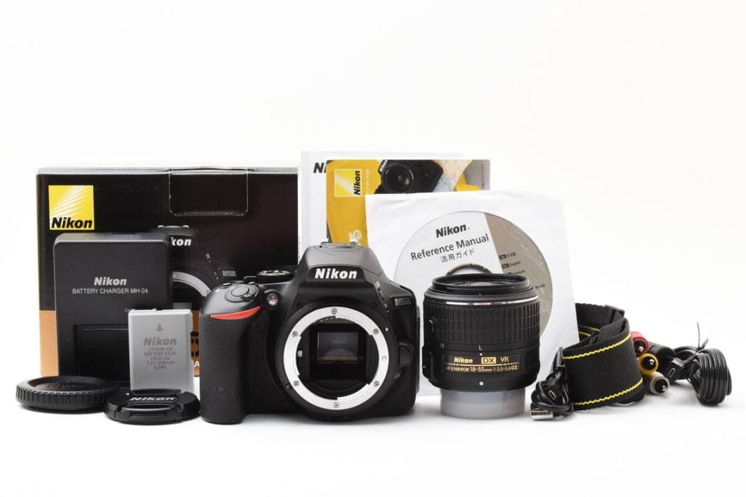★極上★ Nikon D5500 18-55mm VR ii 撮影 1537枚