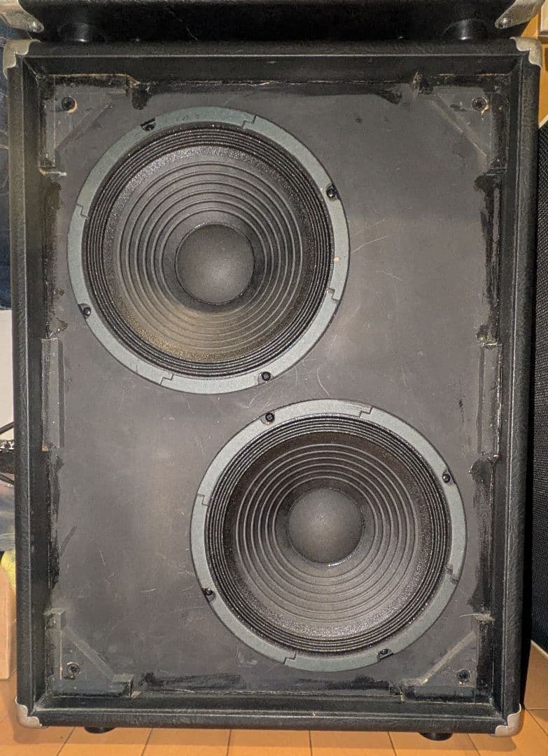 大槻裕ミゲールヌネス　　Ashdown　 10インチ×2　アッシュダウン