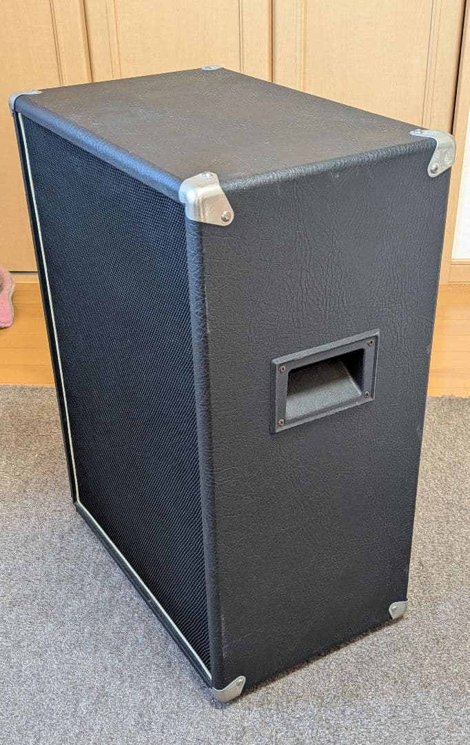 大槻裕ミゲールヌネス　　Ashdown　 10インチ×2　アッシュダウン