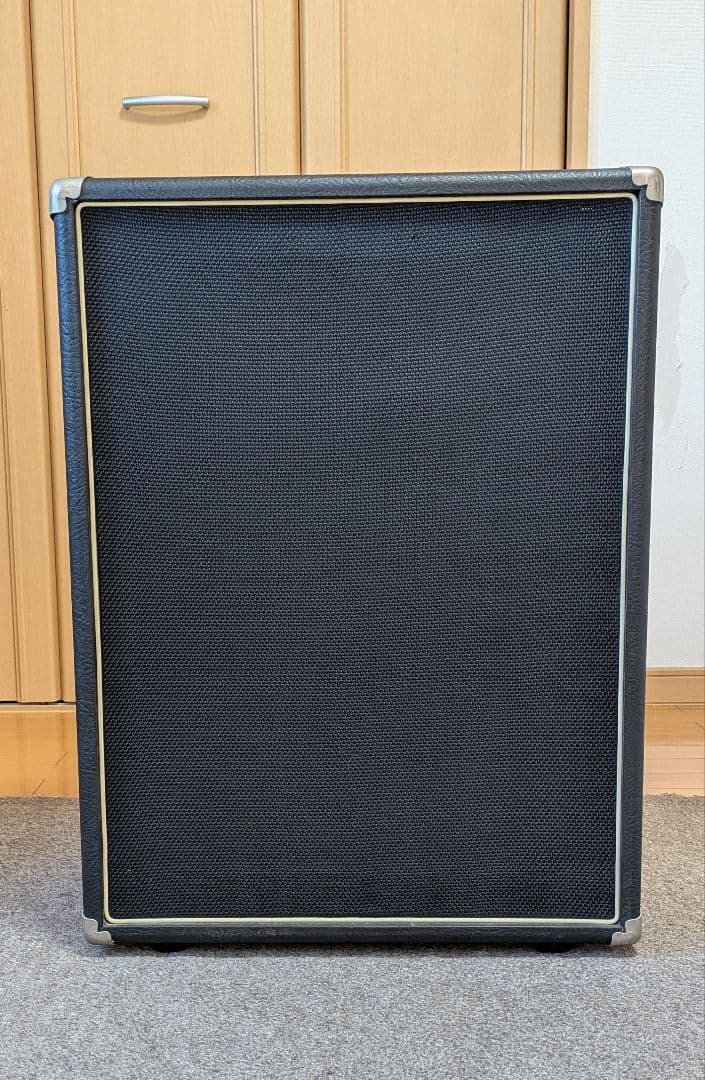 大槻裕ミゲールヌネス　　Ashdown　 10インチ×2　アッシュダウン